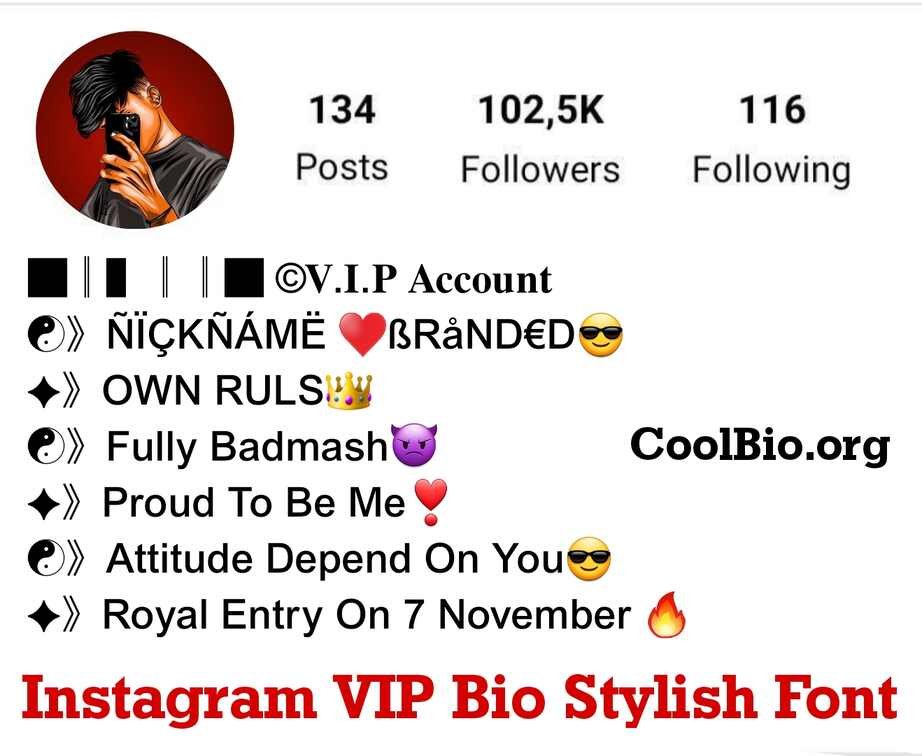 Instagram VIP Bio Stylish Font 1